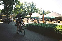 Foto: Martijn vd Cruijsen