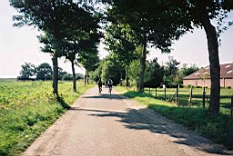 Foto: Martijn vd Cruijsen