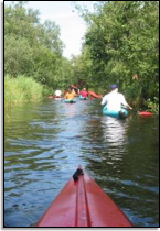 Kayakken