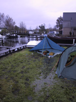 Drijvende tarp