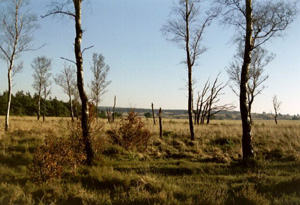 foto: Henk veldmans