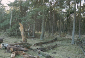 foto: Henk veldmans