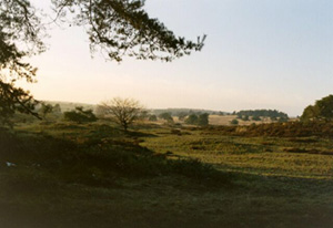 foto: Henk veldmans