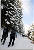 Weekend Winter Hike 2009