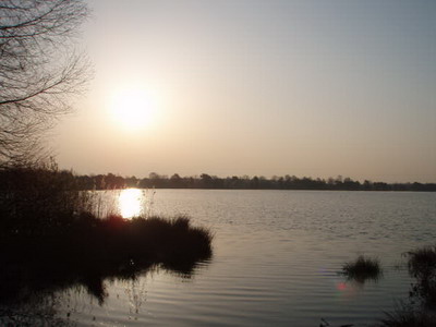 Foto: Menno den Haan