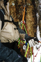 Standplaats op nuts in Crowberry Gully. 