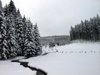 Winter Hike I