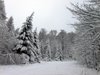 Winter Hike II