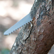 De zaag van de RangerGrip 155 heeft geen enkel probleem met stammen tot 10cm doorsnede.