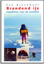 Ton Biesemaat: Brandend ijs