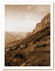 copyrights 2001 Yolanda Cebri�