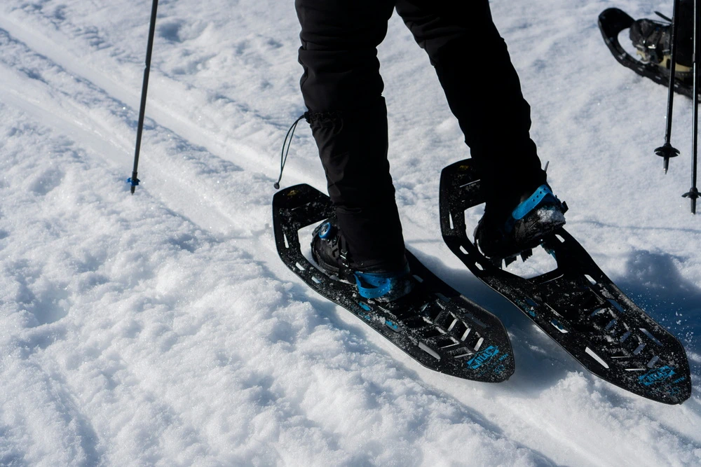 Sneeuwschoenwandelen: stilte, natuur en vrijheid in de winter