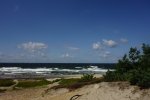 DSC05842.JPG