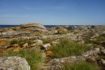 DSC06393.JPG