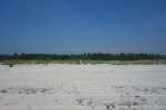 DSC06554.JPG