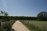 DSC03358.JPG