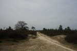 DSC03458.JPG