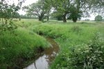DSC04914.JPG