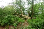 DSC04916.JPG