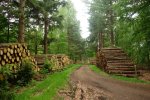 DSC04934.JPG