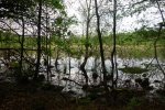 DSC04940.JPG
