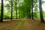 DSC04987.JPG