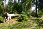 DSC05024.JPG