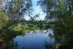 DSC05253.JPG