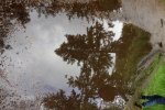 DSC07797.JPG