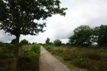 DSC07813.JPG