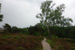 DSC07840.JPG