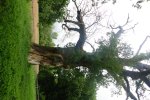 DSC07884.JPG