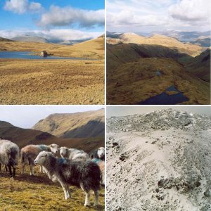 Lake district