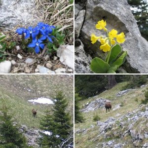 Karwendel 2005
