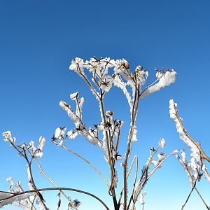 Slowakije_382_zesde_dag_kruiden_tegen_de_lucht