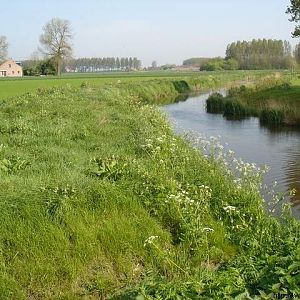 Voorjaar