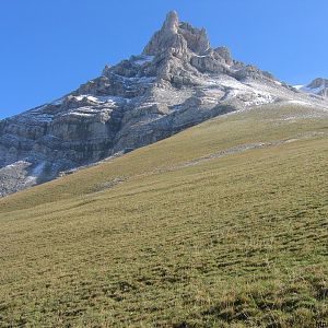 l'Auria