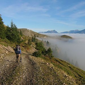 vanaf Brachilliane naar Foret Domaniale de l'Obiou_1