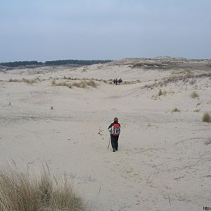 FV