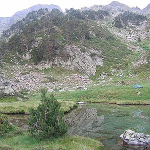 IMG_0066-1naamloos_meertje_voor_coll_de_la_cornella