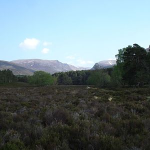 Schotse cairngorms