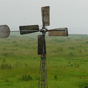 Windmolentje