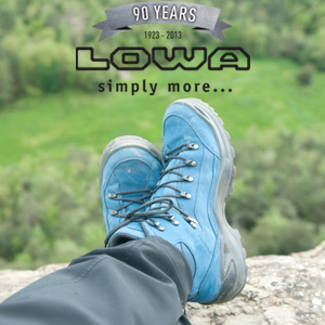 Lowa RENEGADE GTX MID - Wijdte G - Blauw bestel je veilig online