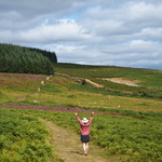 Wicklow Way, in zeven dagen wandelend naar Dublin