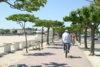 Canal des Deux Mers-2.jpg
