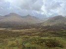 IMG_6519.jpeg