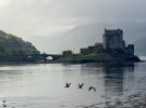 IMG_6579.jpeg