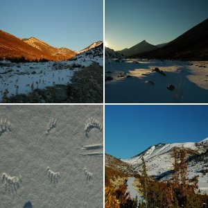 Avondwandeling Cadí
