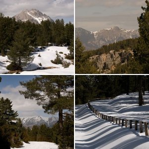 Parc de neu