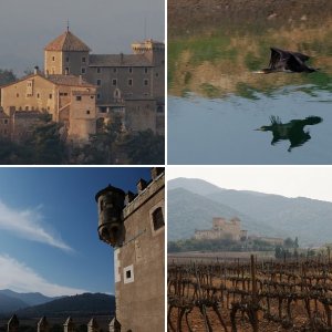 Castell de Riudabella